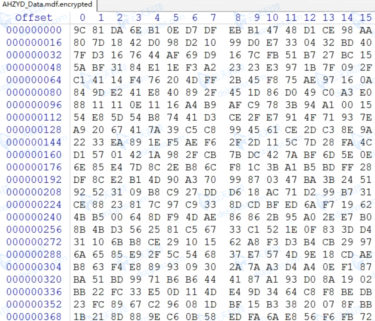 被Encrypted加密后的易助ERP数据库底层hex数据